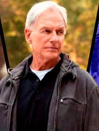 NCIS: Origins Season 1, Episode 16 Review: Bugs Provides 1 Giant Plot Twist