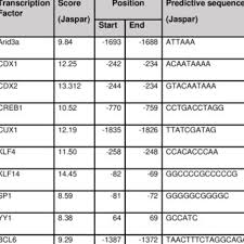 Bric à brac sur le web. Pdf Function Of Deptor And Its Roles In Hematological Malignancies