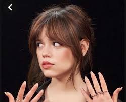 Just saw two very small dogs (one mini yorkie and one little white dog)  running down the side of the road