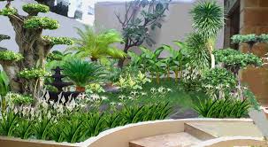 Nah, di artikel ini satriabajahitam akan memberikan gambar bunga yang bisa kita jadikan wallpaper di laptop. Bentuk Bunga Bunga Taman Yang Cantik Creo House
