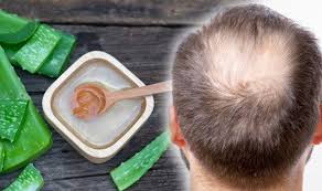 The natural enzymes in aloe vera rejuvenate the hair follicles and reduce hair thinning. Hair Loss Treatment Aloe Vera Provides Nutrition For Hair Follicles To Increase Growth Express Co Uk