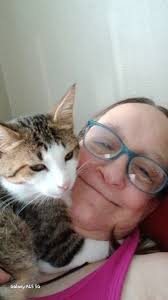 Male kitten within 30 miles of current location