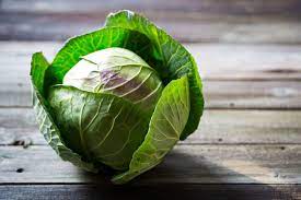 Maybe you would like to learn more about one of these? Post Harvest Cabbage Care Learn How To Store Cabbage Heads