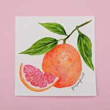 Wg 88 fruits sdn bhd (wg 88) was founded on 2020, an year earlier than the founding of fruits.my. Here Is Day 9 Of My Fruits Project The Grapefruit Watercolor