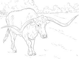 Click Realistic Texas Longhorn Coloring Page For Printable Version With Images Animal Coloring Pages Coloring Pages Super Coloring Pages