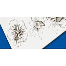 Knowing your colors can help prevent contamination. Nielsen Bainbridge Illustration Board 80 Cold Press 15 X 20