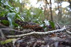 Msliababy leaked nudes she told me she might be headed out