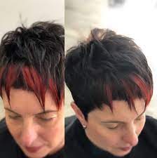 Shorthair Mikropony Security