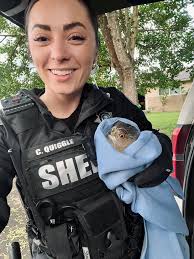 Recently, Deputy Quiggle came across a red tail hawk that had been hit by a  car, and ended up with a broken wing. Fish and Wildlife provided a two hour  ETA. Because
