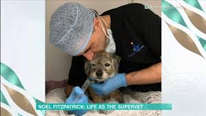 Noel made his first appearance in the horror movie 'the devil's tattoo,' it was released in 2003. Supervet Noel Fitzpatrick Says His Life Unraveled When His Dog Got Hit By A Car In Front Of Him Mirror Online