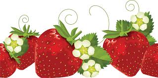 Strawberry clip art free clipart images 2 - WikiClipArt