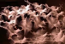 Philip Beesley et Diane Willow : Reflexive Membranes