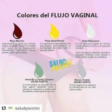 Mary Read On Twitter Colores Del Flujo Vaginal Via Comuneras Https T Co 8sc4kwsfcn Https T Co P50bwx3pgk Twitter