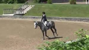 Video of Focus ridden by Schaefer Raposa from ShowNet!