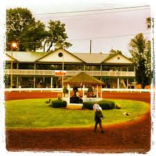 Horse Show Shelbyville Ky Shelbyville My Old Kentucky Home Lexington Kentucky
