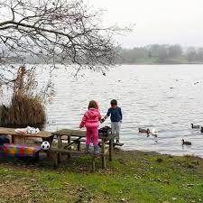 Maşukiye, sakarya ve kocaeli arasında tıpkı sapanca gölü gibi bir sınır bölgesi. Sakarya Adapazari Gezilecek Dogal Yerler Gezenti Anne