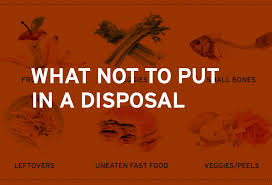 what not to put in a garbage disposal