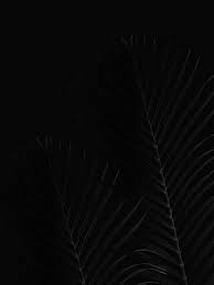 Check spelling or type a new query. 900 Black Background Images Download Hd Backgrounds On Unsplash