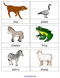 Free Printable English Tamil Flash Cards Charts Worksheets File Folder Busy Bag Quiet Time A Flashcards For Kids Animal Flashcards Free Preschool Printables