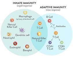 How The Immune System Works Rawlsmd In 2020 Nursing School Survival Medical Laboratory Science Medical School Studying