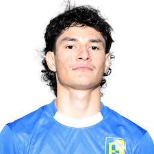 Bryan Castro's Fort Bend Elkins High School Career Home