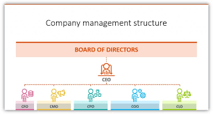 Organizational Chart Coo Cfo Cmo Icons Ppt Blog Creative