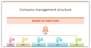 organizational chart coo cfo cmo icons ppt blog creative