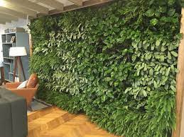 dschungel feeling im wohnzimmer ein vertikaler garten fur innen vertikaler garten wandgarten vertikaler garten diy