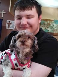 Who are the owners of the dogs featured