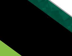 STATEMENT OF QUALIFICATIONS