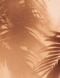 Cream aesthetic book aesthetic aesthetic vintage aesthetic pictures aesthetic light aesthetic collage book wallpaper. Tan Aesthetic Wallpapers Top Free Tan Aesthetic Backgrounds Wallpaperaccess