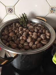 Caracoles a la mallorquina a aquellos a los que les gusten los caracoles disfrutarán sobremanera de este plato de tradición marinera. Caracoles A La Mallorquina Recetas De Cocina Mallorquina