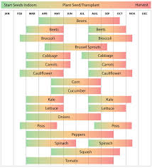 Zone 7 Vegetable Planting Calendar Guide Urban Farmer Seeds