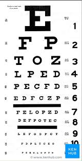 cranial nerves examination optic nerve kenhub