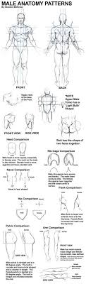 This video is a tutorial on how to draw the male figure! Male Anatomy Drawing Tutorial Wiki Art Amino
