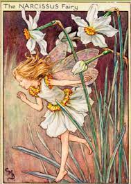 The Narcissus Fairy Flower Fairies Narcissus Flower Cicely Mary Barker