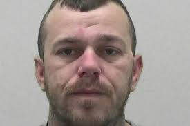 VAMOS! Festival to hold family-friendly beach party at Tynemouth Longsands  cafe