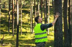 La universidad el bosque se consolida como universidad de formación, multidisciplinaria, con un foco que articula su desarrollo (en formación, investigación, transferencia y servicio) en la salud y calidad de vida. La Gestion De Los Bosques Clave En La Lucha Contra El Cambio Climatico