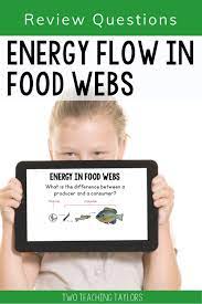 Pin On Science Activities