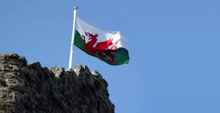 Welsh dragon the flag of wales. The History Of The Welsh Dragon Symbol Of Wales