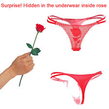 The lm was jettisoned into an unstable lunar orbit. Valentine S Day Gift Cheap Women Thongs Sexy Lace T Back G String For Ladies Rose Panties Rolling Pack Buy Sexy Red Rose Thong Valentine S Day Gift Rose Panties Rose Panties Product On Alibaba Com
