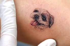Check spelling or type a new query. Cute Pet Tattoos You Can Get In Honor Of Your Fur Babies