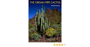 Arguably the most iconic image of the american south west, saguaro cacti cover the sonoran desert landscape around tucson in southern arizona. The Organ Pipe Cactus Southwest Center Yetman David 9780816525416 Amazon Com Books