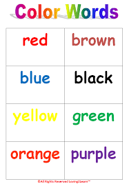 learning new words colors chart word cards book and