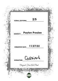 Payton Preslee Model Celebrity 2/5 ACEO Fine Art Print By:Q | eBay