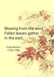 Pin By Cecilia On Haikus In 2020 Haiku Poetry Haiku Poems Japanese Haiku