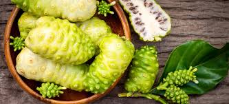 Image result for Morinda