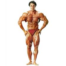 Olympia who died on august 30 at the age of 78. The Fitness World Bids Farewell To Franco Columbu Philstar Com