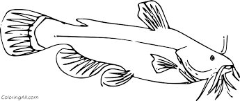 There are tons of great resources for free printable color pages online. Female Catfish Coloring Page Coloringall