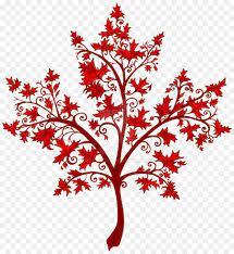 Maple Leaf Twig Canada Japanese Maple Maple Tree Maple Leaf Japanese Maple Maple Tree